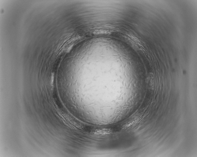 X0000057560550200510071520