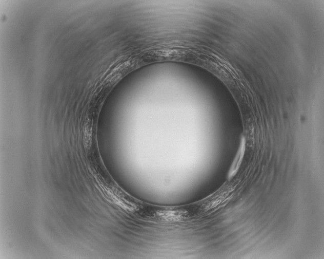 X0000057560558200510071520