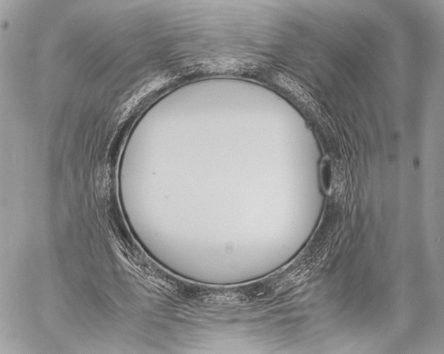 X0000057560583200510071520