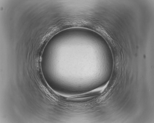 X0000057560585200510071520