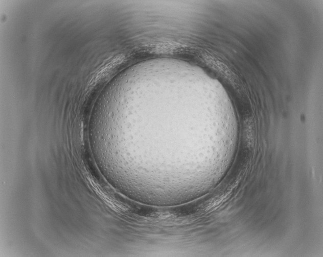 X0000057560589200510071520