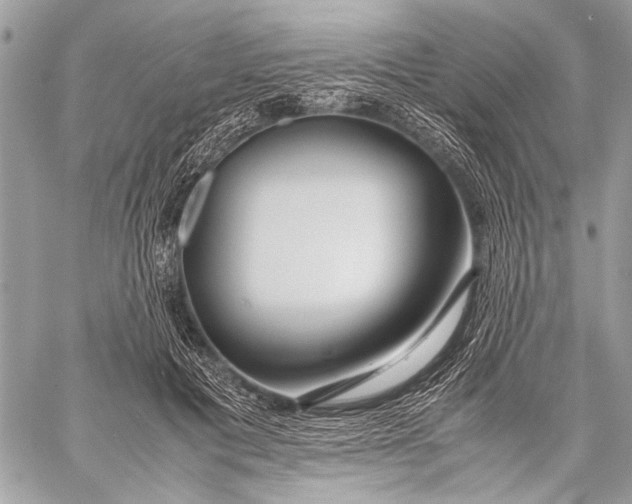 X0000057560601200510071519
