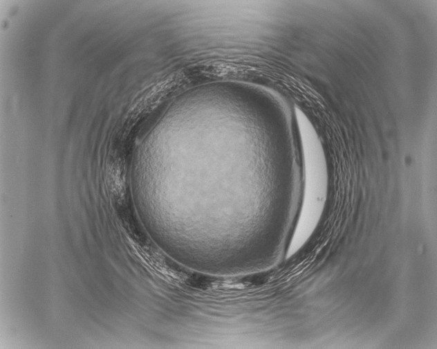 X0000057560607200510071519