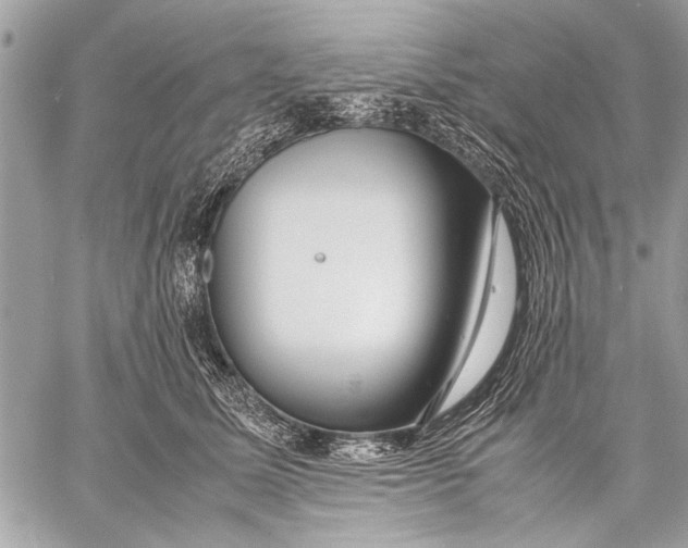 X0000057560611200510071519