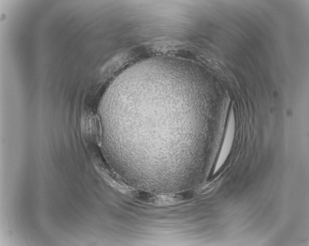 X0000057560623200510071519