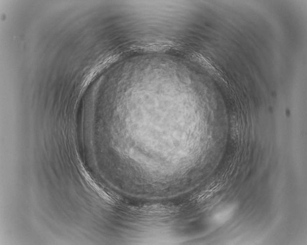 X0000057560634200510071518