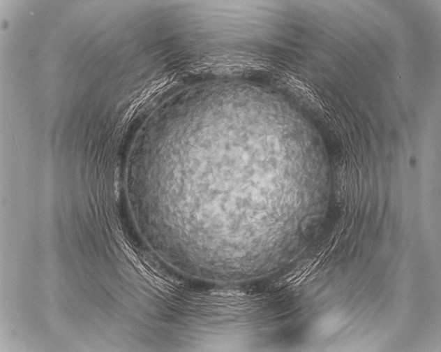 X0000057560644200510071519