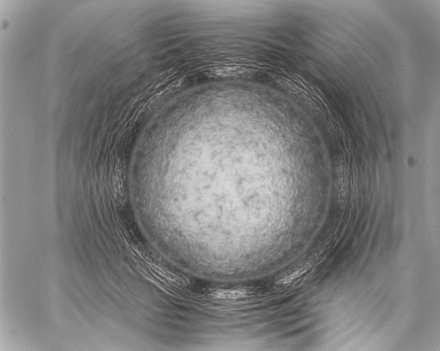 X0000057560653200510071519