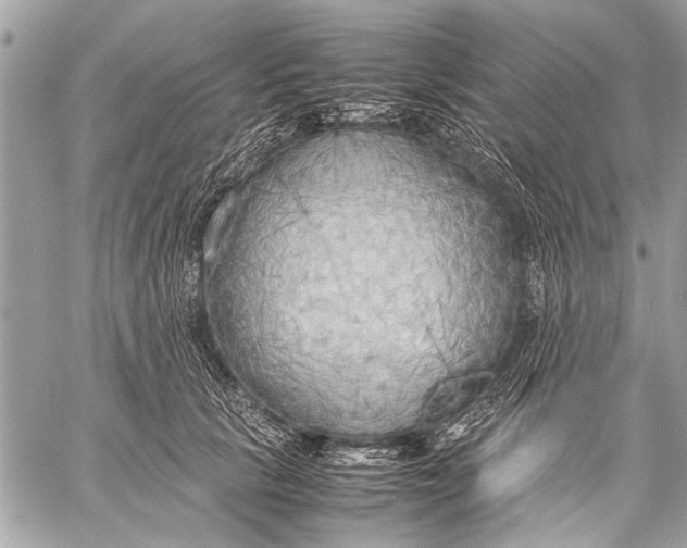 X0000057560657200510071519