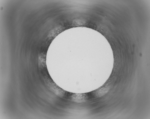 X0000057560672200510071519