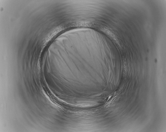 X0000057560674200510071518