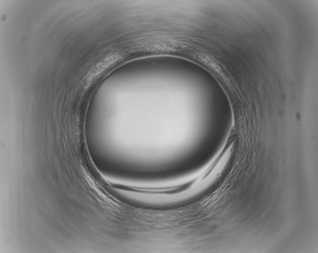 X0000057560677200510071518