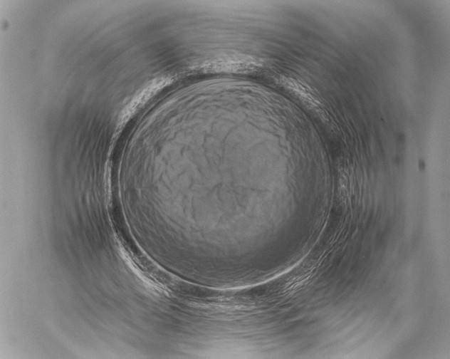 X0000057560678200510071518