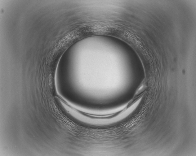 X0000057560689200510071518