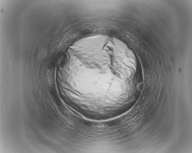 X0000057560695200510071518