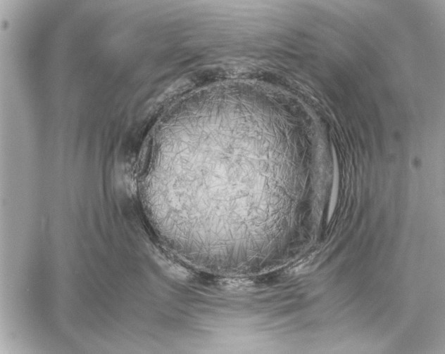 X0000057560719200510071517