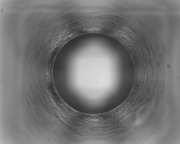 X0000057560743200510071517