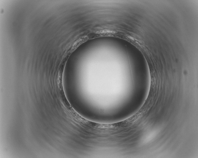 X0000057560767200510071517