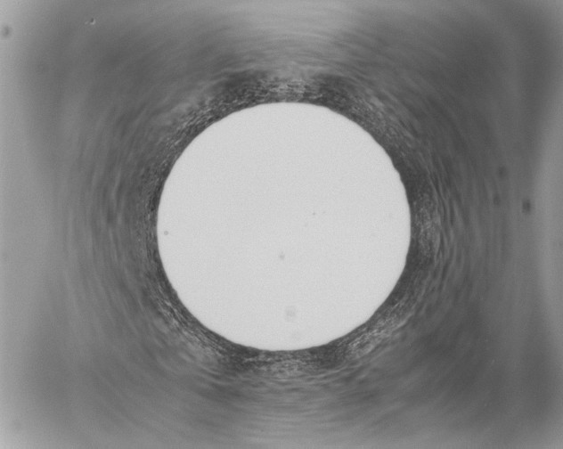 X0000057560769200510071517