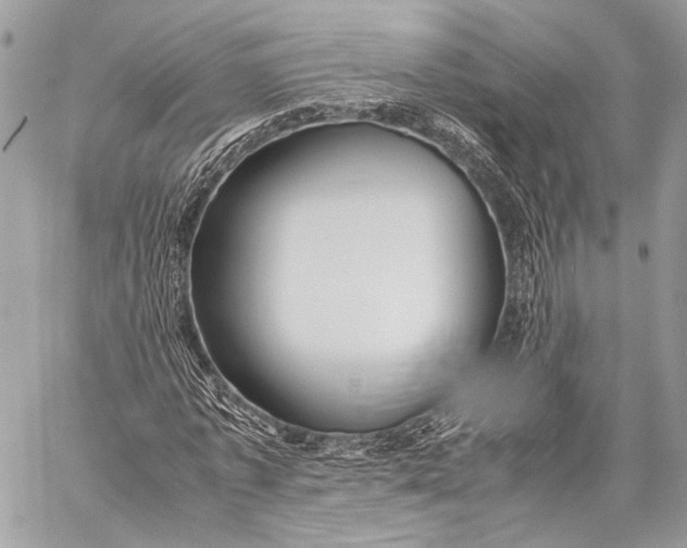 X0000057560773200510071517