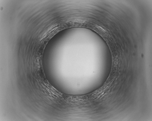 X0000057560774200510071517