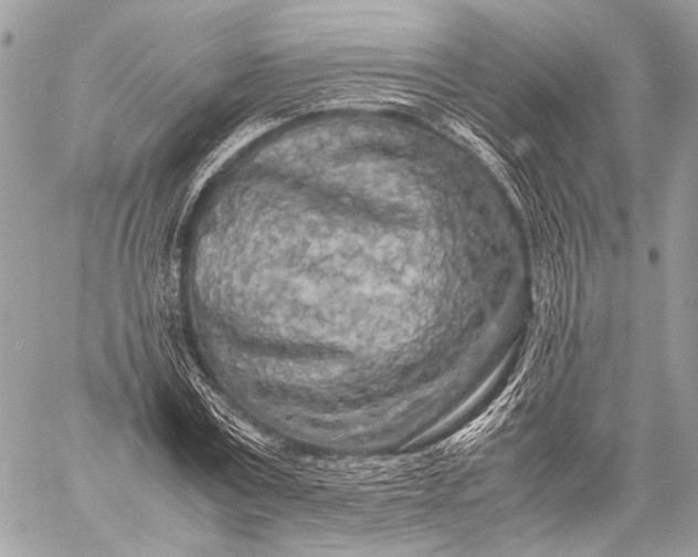 X0000057560779200510071516