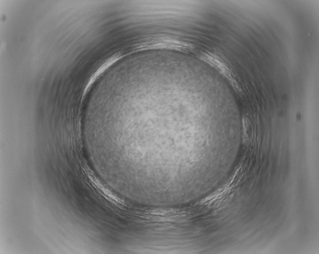 X0000057560780200510071516