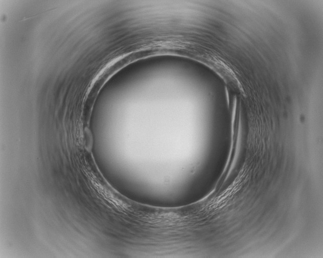 X0000057560784200510071516