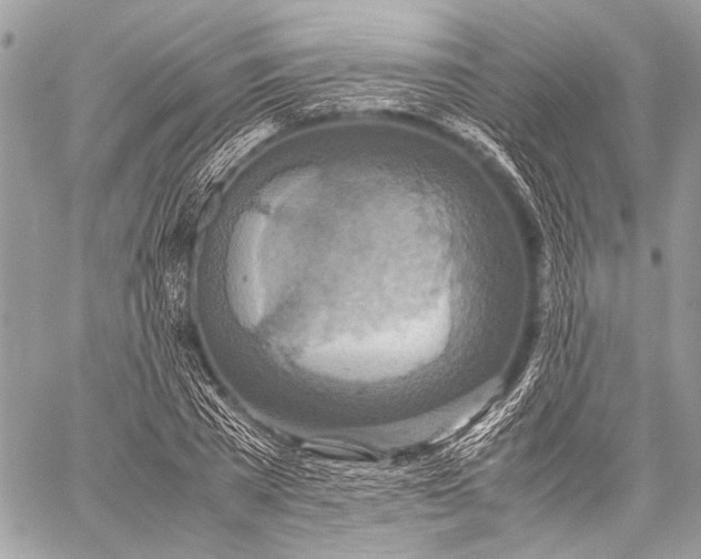 X0000057560785200510071516