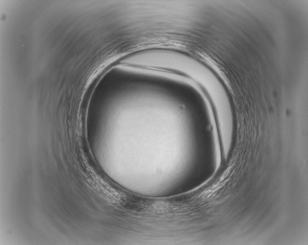 X0000057560787200510071516