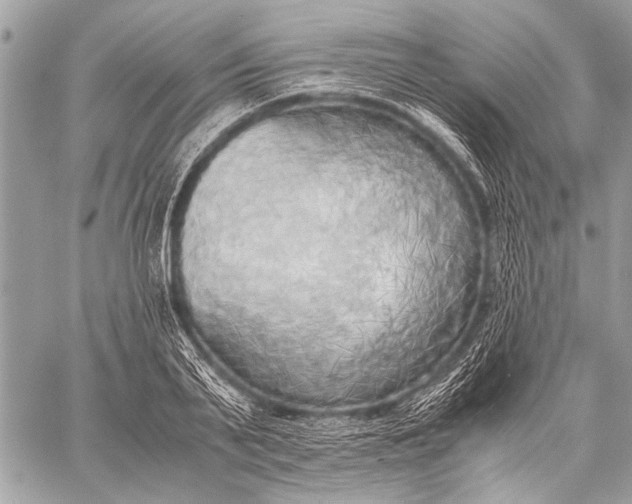 X0000057560791200510071516