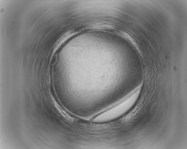 X0000057560795200510071516