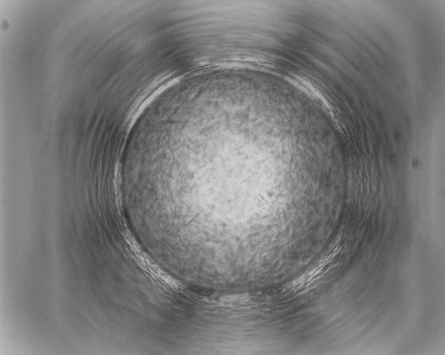 X0000057560798200510071516