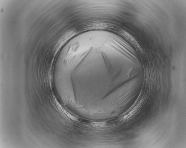 X0000057560802200510071516
