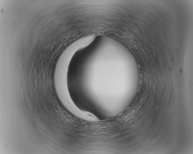 X0000057560818200510071515