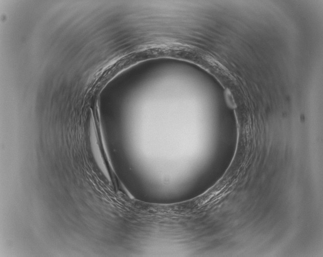 X0000057560822200510071515