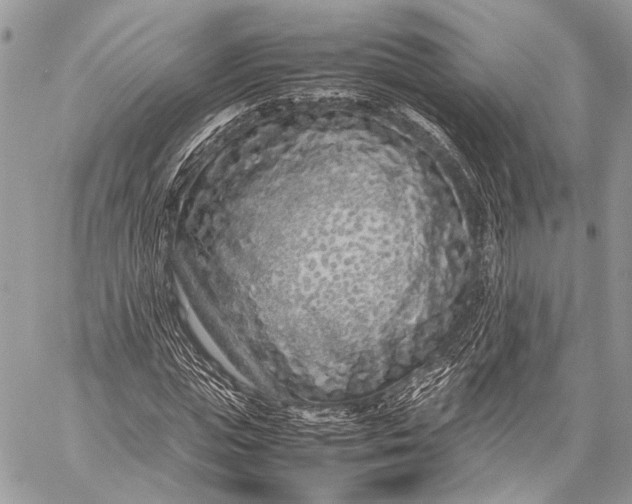 X0000057560823200510071515