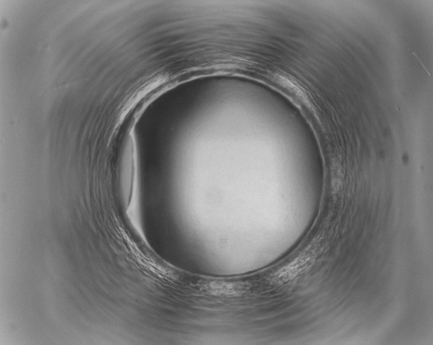 X0000057560827200510071515