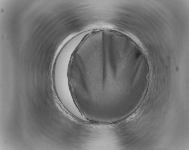 X0000057560864200510071516