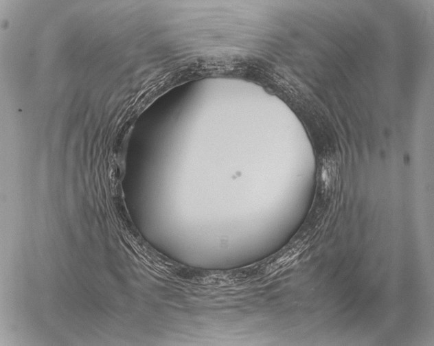 X0000057560867200510071515