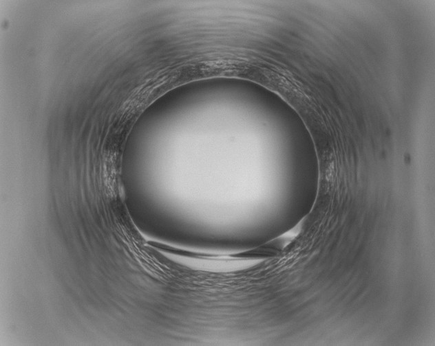 X0000057560868200510071515
