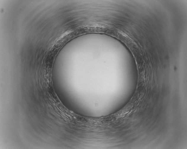 X0000057560870200510071515