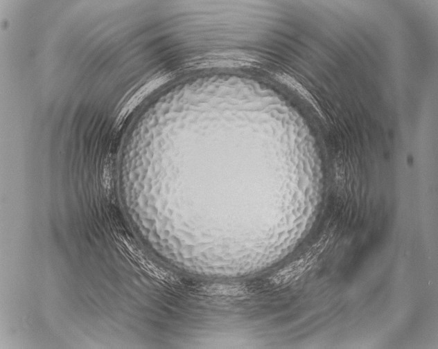 X0000057560874200510071515