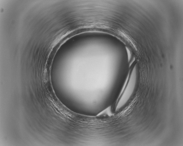 X0000057560876200510071515