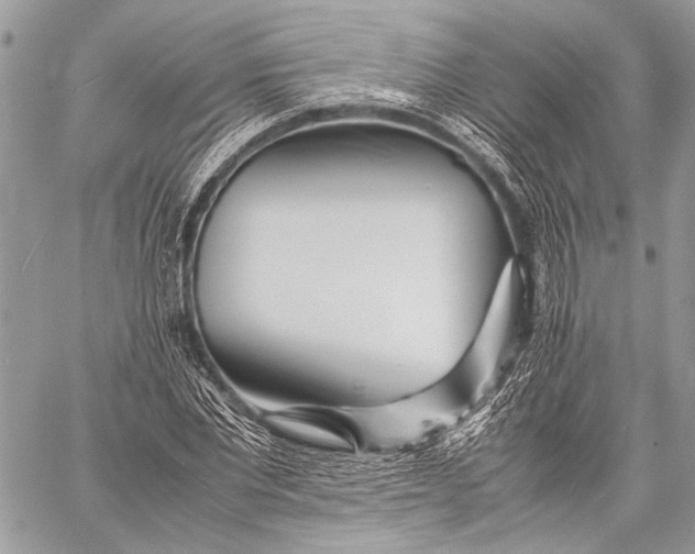 X0000057560877200510071515