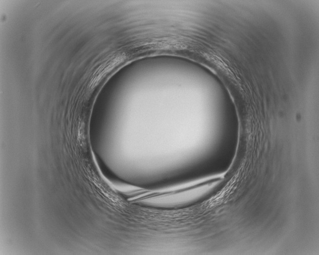 X0000057560881200510071515