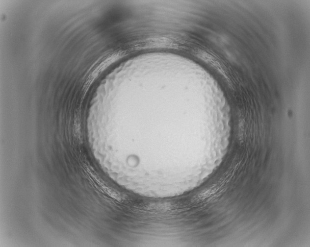 X0000057560882200510071515