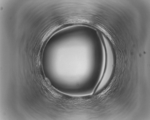 X0000057560885200510071515