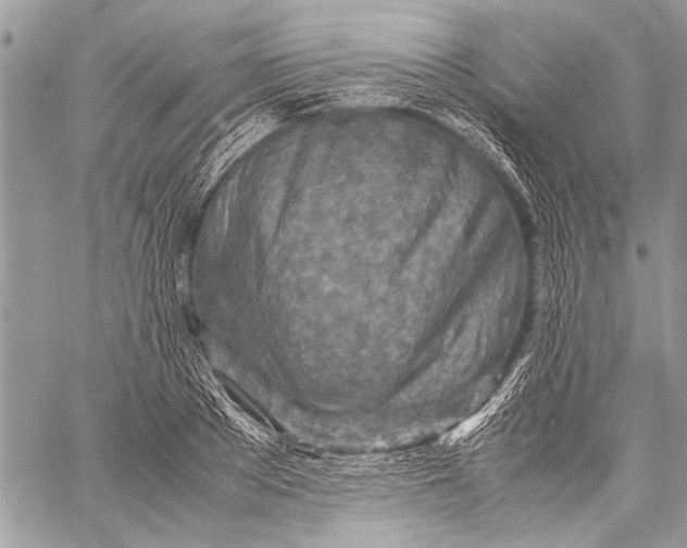 X0000057560889200510071515