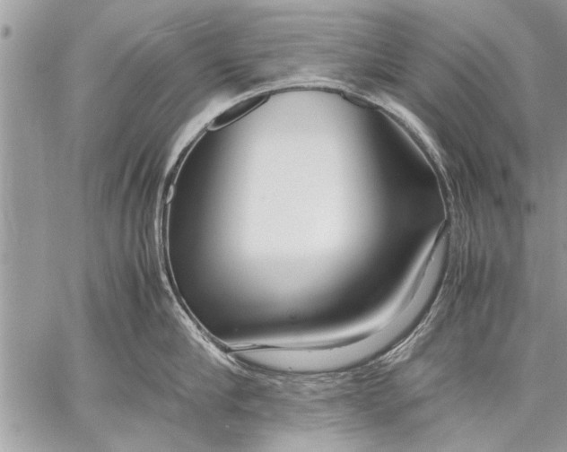 X0000057560910200510071514